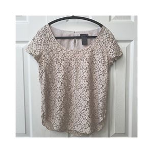 Talula | 🤍 Aritzia soft grey lace short sleeve blouse